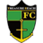 Treasure Beach FC